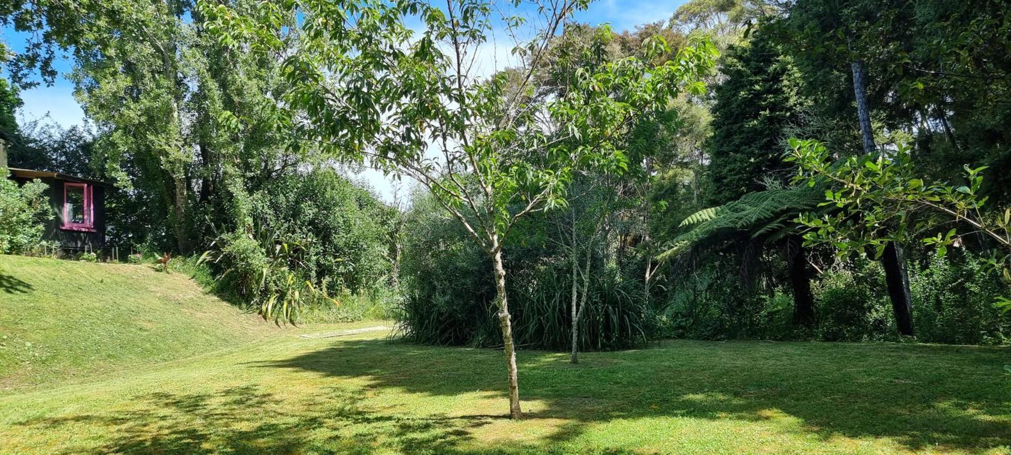 Pheasant Lodge Paparoa Eksteriør billede